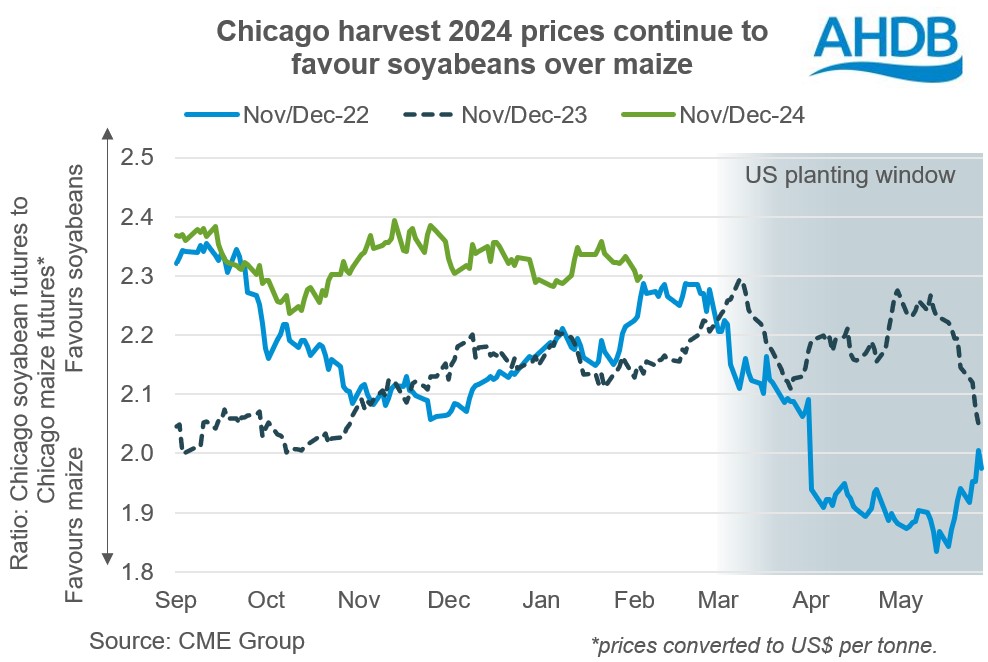 Chart showing the ratio of Chicago soyabean to Chicago maize futures by harvest.